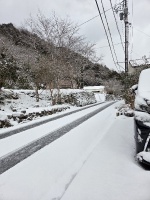 600 x 800 x 276,155�o�C�g