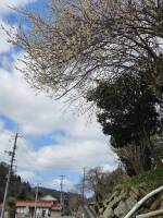 1108 x 1477 x 371,805�o�C�g �����̉摜�͑傫���̂ŕʉ�ʂŕ\�����܂���