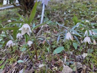 800 x 600 x 325,833�o�C�g