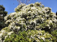 720 x 540 x 176,141�o�C�g