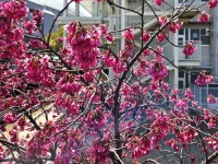 720 x 540 x 154,084�o�C�g