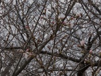 720 x 540 x 164,990�o�C�g