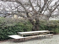 720 x 540 x 168,997�o�C�g