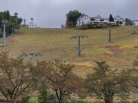 887 x 665 x 117,637oCg