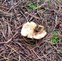 672 x 661 x 118,430oCg