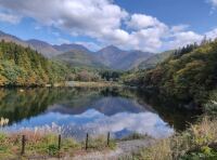 966 x 713 x 120,422oCg