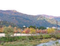 924 x 710 x 118,835oCg