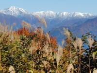 657 x 492 x 73,632oCg