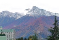 1441 x 985 x 157,319oCg ̉摜͑傫̂ŕʉʂŕ\܂