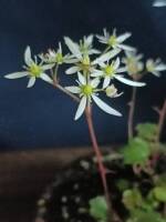 1108 x 1477 x 113,039oCg ̉摜͑傫̂ŕʉʂŕ\܂