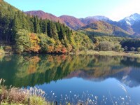 512 x 384 x 69,500oCg