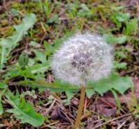 941 x 876 x 119,289oCg ̉摜͑傫̂ŕʉʂŕ\܂