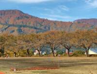 1048 x 802 x 116,910oCg ̉摜͑傫̂ŕʉʂŕ\܂