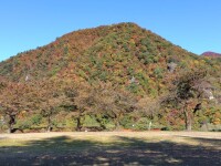 781 x 585 x 191,313oCg