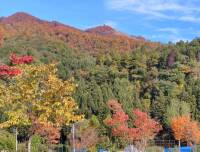 818 x 623 x 120,629oCg