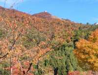 794 x 608 x 90,124oCg