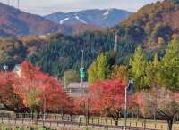 1024 x 750 x 118,551oCg