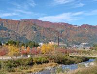 884 x 672 x 117,752oCg