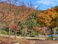 751 x 573 x 117,872oCg