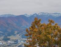 1135 x 871 x 118,311oCg ̉摜͑傫̂ŕʉʂŕ\܂