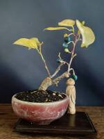 1108 x 1477 x 104,496oCg ̉摜͑傫̂ŕʉʂŕ\܂