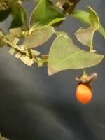 1108 x 1477 x 86,747oCg ̉摜͑傫̂ŕʉʂŕ\܂