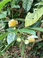 1108 x 1477 x 200,171oCg ̉摜͑傫̂ŕʉʂŕ\܂