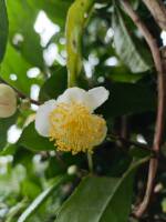 1108 x 1477 x 102,423oCg ̉摜͑傫̂ŕʉʂŕ\܂