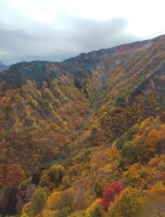 642 x 843 x 120,970oCg ̉摜͑傫̂ŕʉʂŕ\܂