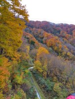 477 x 626 x 114,356oCg