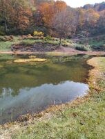 565 x 741 x 114,225oCg