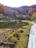 601 x 794 x 120,862oCg