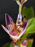 1108 x 1477 x 107,661oCg ̉摜͑傫̂ŕʉʂŕ\܂