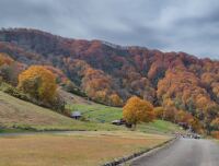 939 x 714 x 113,868oCg