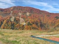 886 x 671 x 117,243oCg