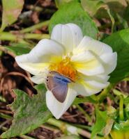 985 x 1067 x 115,073oCg ̉摜͑傫̂ŕʉʂŕ\܂