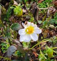 844 x 905 x 118,721oCg ̉摜͑傫̂ŕʉʂŕ\܂