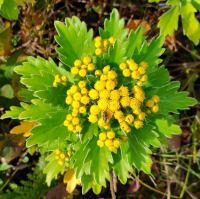 806 x 802 x 121,341oCg ̉摜͑傫̂ŕʉʂŕ\܂