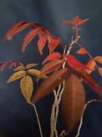 1108 x 1477 x 84,152oCg ̉摜͑傫̂ŕʉʂŕ\܂