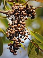 1108 x 1477 x 239,987oCg ̉摜͑傫̂ŕʉʂŕ\܂