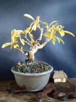 1108 x 1477 x 141,683oCg ̉摜͑傫̂ŕʉʂŕ\܂