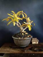 1108 x 1477 x 123,422oCg ̉摜͑傫̂ŕʉʂŕ\܂