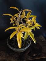 1108 x 1477 x 143,598oCg ̉摜͑傫̂ŕʉʂŕ\܂