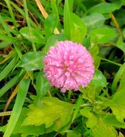 997 x 1088 x 119,577oCg ̉摜͑傫̂ŕʉʂŕ\܂