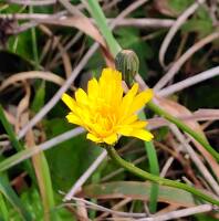 1070 x 1082 x 118,043oCg ̉摜͑傫̂ŕʉʂŕ\܂