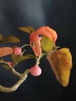 1108 x 1477 x 61,201oCg ̉摜͑傫̂ŕʉʂŕ\܂