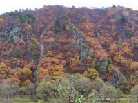 642 x 481 x 123,337oCg