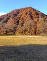 527 x 685 x 119,030oCg