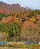 723 x 898 x 119,101oCg ̉摜͑傫̂ŕʉʂŕ\܂