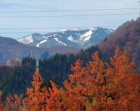 1228 x 974 x 119,071oCg ̉摜͑傫̂ŕʉʂŕ\܂